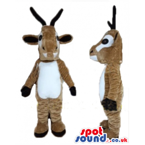 Two beige deers with brown horns and a white belly - Custom