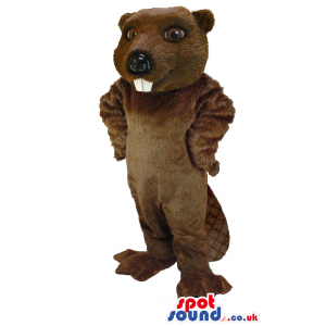 Brown Beaver Animal Mascot With Teeth And Big Tail