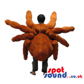 Mascot costume of a brown crab - Custom Mascots