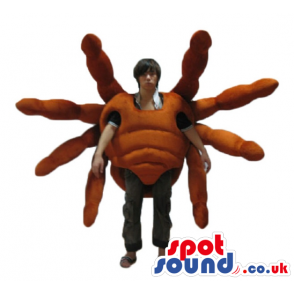 Mascot costume of a brown crab - Custom Mascots