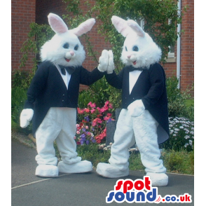 Couple Of White Rabbits With Black Magician Jacket - Custom