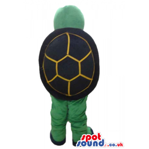 Green tortoise with a yellow belly, black shell and black shoes