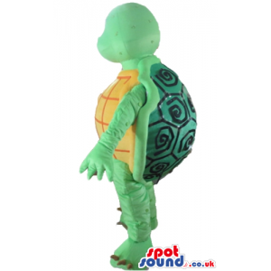 Green tortoise with an orange and red belly and a green and