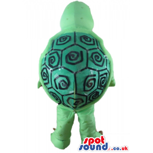 Green tortoise with an orange and red belly and a green and