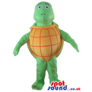 Green tortoise with an orange and red belly and a green and