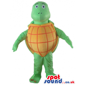 Green tortoise with an orange and red belly and a green and