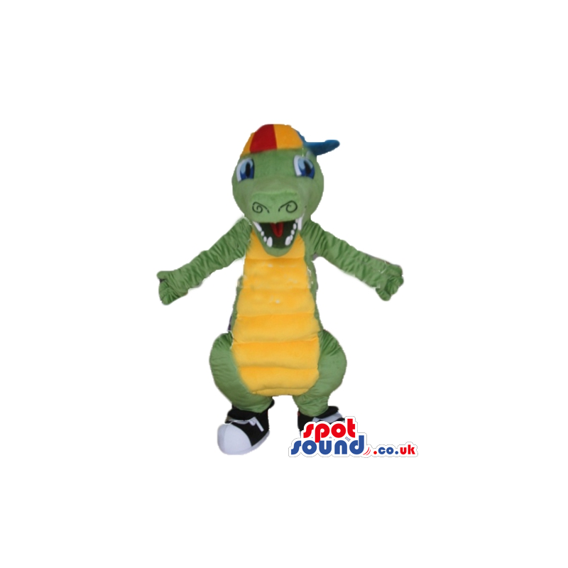 Green alligator with a yellow belly wearing black trainers and