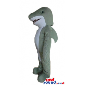 Grey and white shark with sharp teeth - Custom Mascots