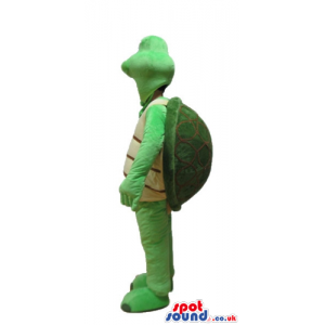 Green turtle with a beige belly - Custom Mascots