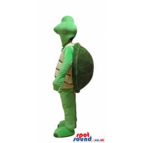 Green turtle with a beige belly - Custom Mascots
