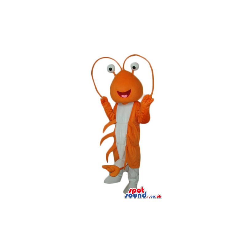 Orange shrimp with a white belly, small round eyes and long