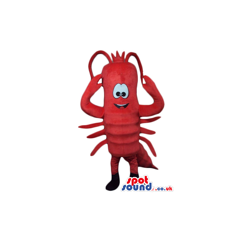 Red shrimp with round eyes and black feet - Custom Mascots