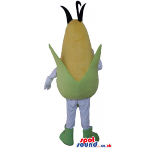 Yellow corn with a green hat and green leavs, white arms and