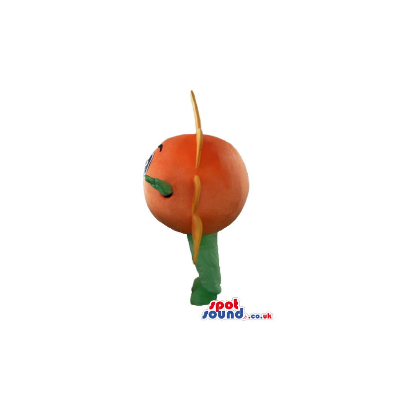 Orange sunflower with big round eyes and green arms and legs -