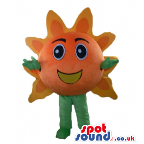 Orange sunflower with big round eyes and green arms and legs -