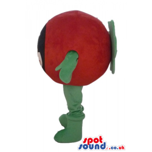 Red tomato with a face with black fringe, green arms and legs -