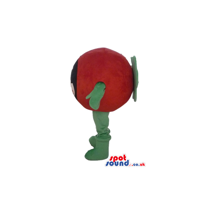 Red tomato with a face with black fringe, green arms and legs -