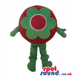 Red tomato with a face with black fringe, green arms and legs -