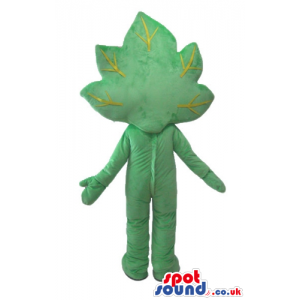 Green leafe with big eyes and long eyelashes with a green logo