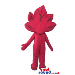 Red leaf with big eyes and long eyelashes with a yellow logo on