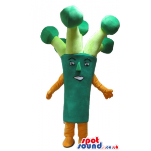 Green broccoli with small eyes and orange arms and legs -