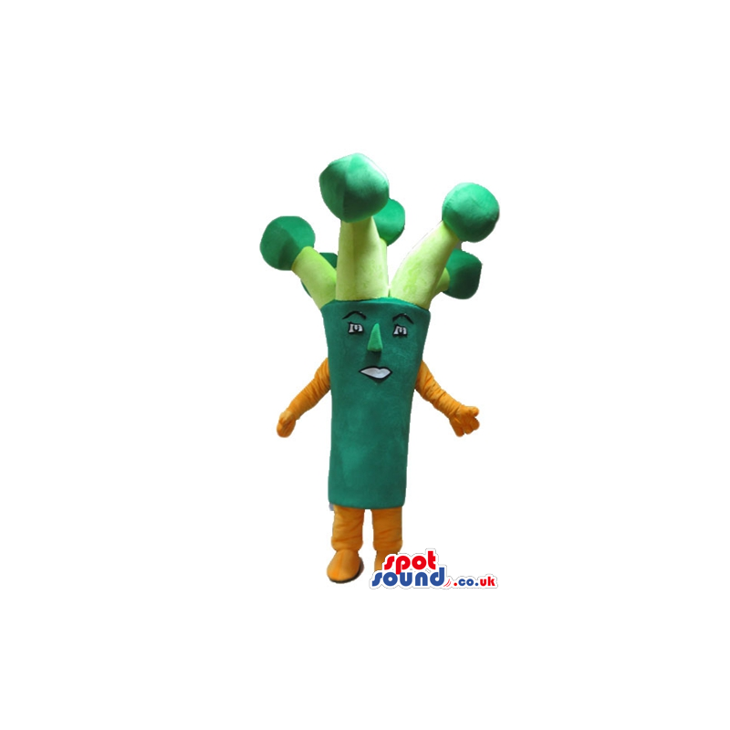 Green broccoli with small eyes and orange arms and legs -