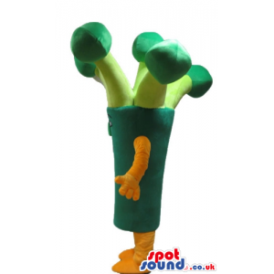 Green broccoli with small eyes and orange arms and legs -