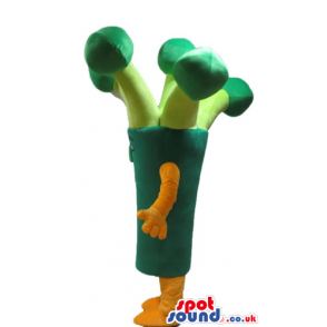 Green broccoli with small eyes and orange arms and legs -