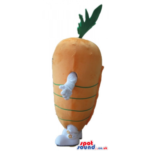 Orange carrot with green hair, small eyes and white arms and