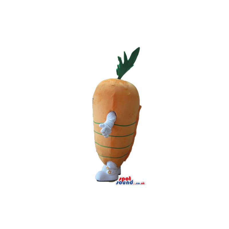 Orange carrot with green hair, small eyes and white arms and