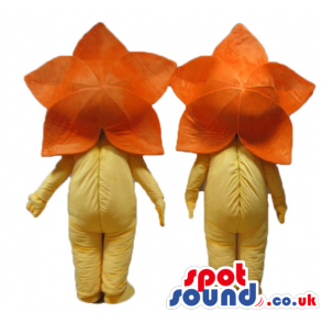 2 yellow flowers with orange petals and yellow bodies - Custom