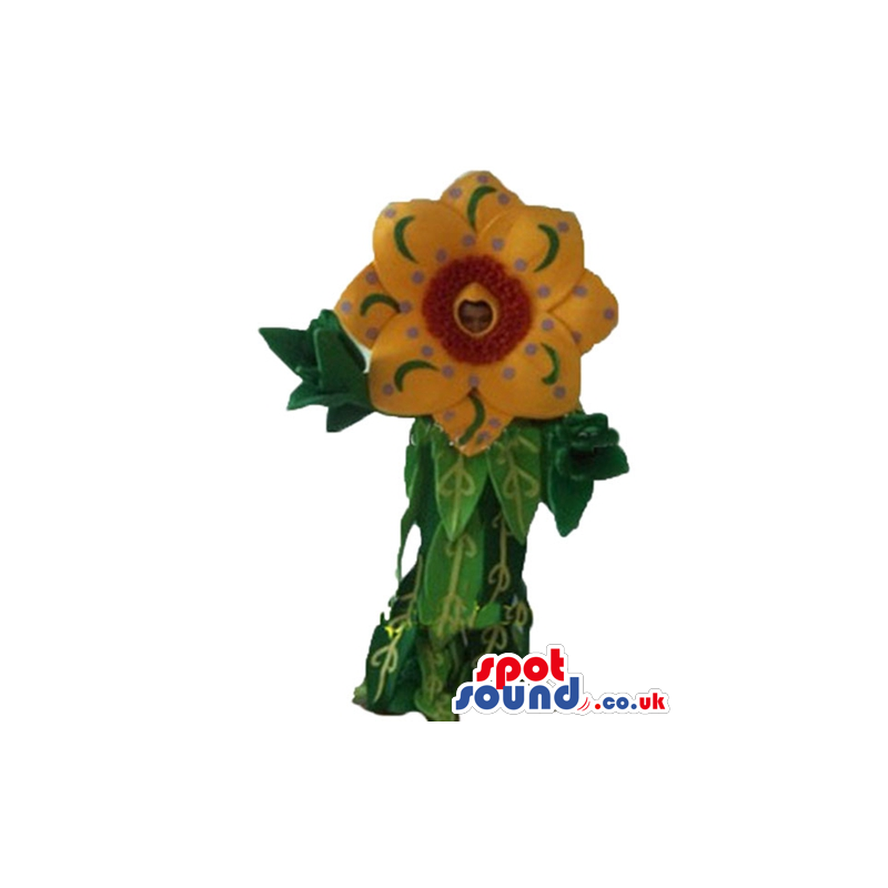 Flower with yellow and green petals, a red center and lots of