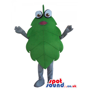 Green leaf with round eyes and white legs and feet - Custom