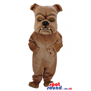 Brown Bulldog Pet Mascot With Pointy Teeth And Bent Ears -