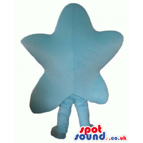 Smiling light-blue star - your mascot in a box! - Custom Mascots