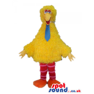 Yellow chicken with striped red and white legs and orange feet