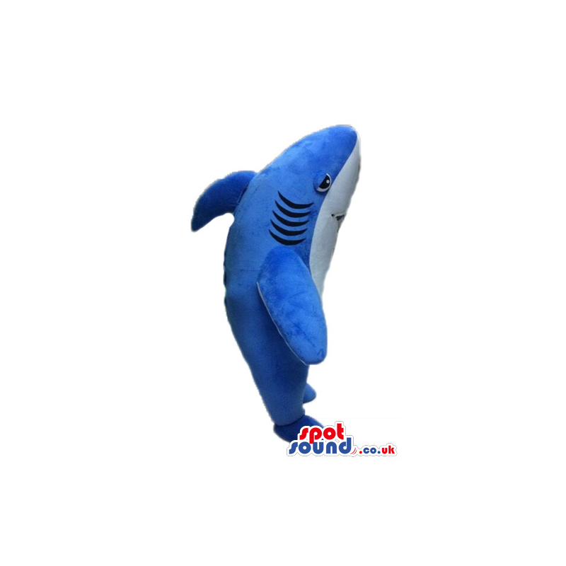 Blue shark with a white belly - Custom Mascots