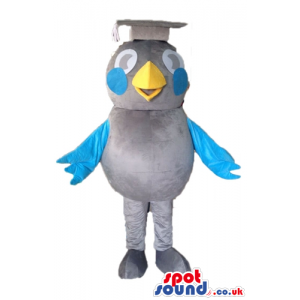 Grey bird with big round eyes, blue cheeks and blue wings and a