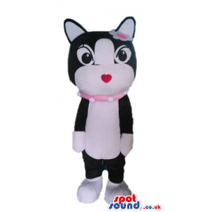 Black and white cat with a small red nose, a pink lace round