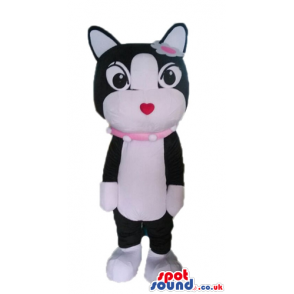 Black and white cat with a small red nose, a pink lace round