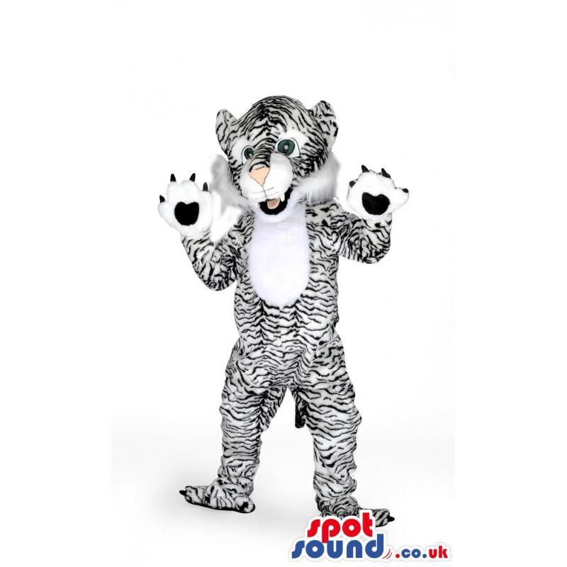 Black and white tiger mascot with his paws showing - Custom