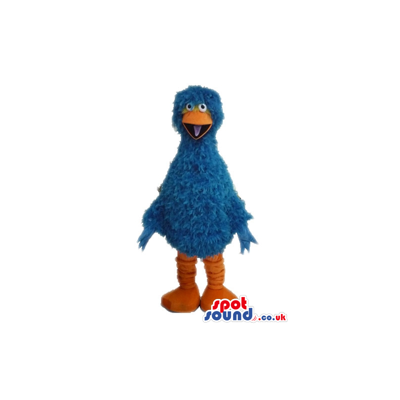 Blue feathery bird with orange legs, a big orange beak and