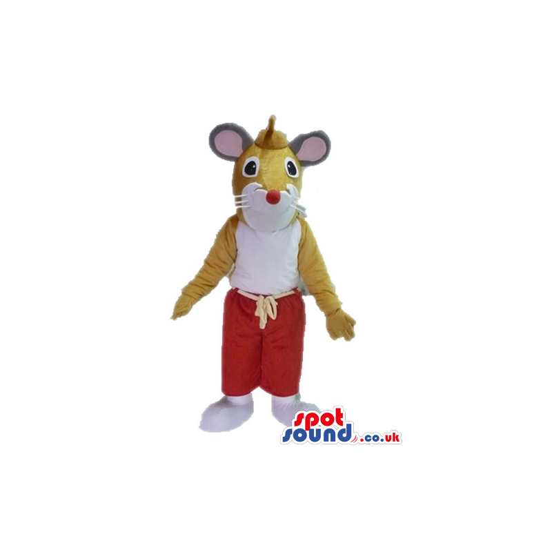 Brown mouse with a white belly and a round red nose and long