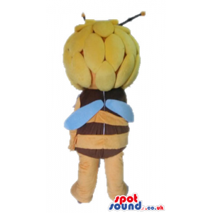 Mascot costume of maya the bee - Custom Mascots