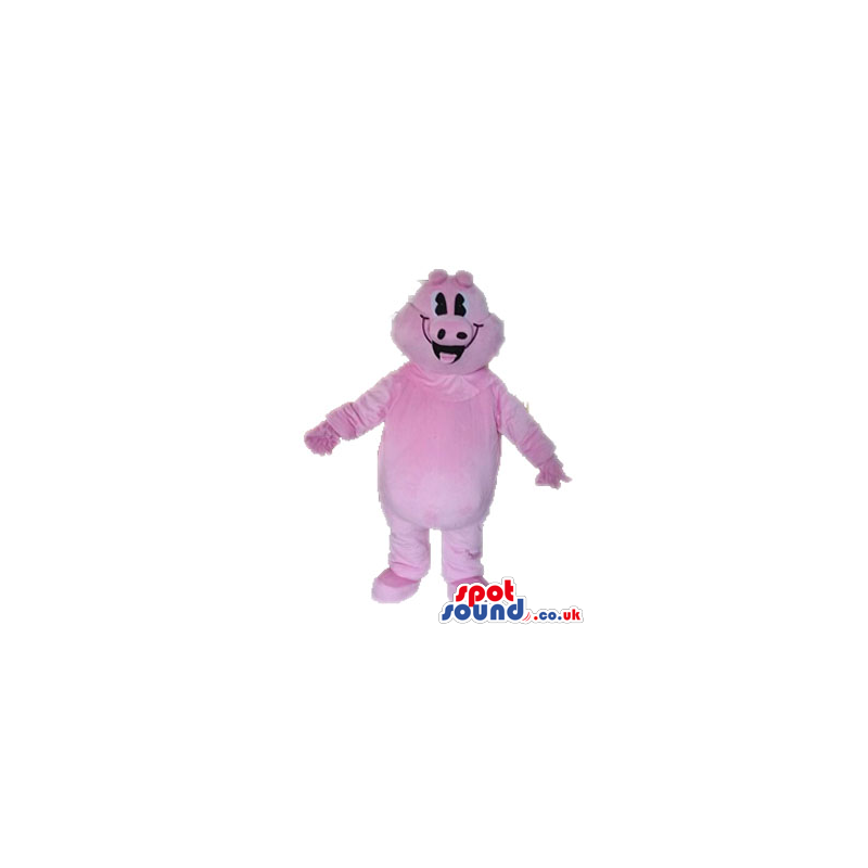 Fat pink pig - your mascot in a box! - Custom Mascots