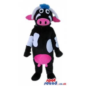 Black cow with white spots and pink breasts, nose and ears -