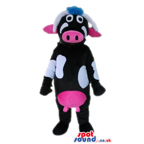 Black cow with white spots and pink breasts, nose and ears -