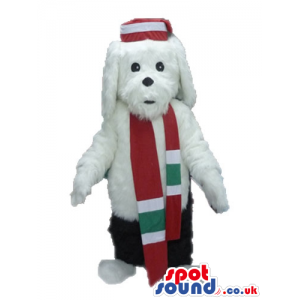 White dog wearing a red, green and white scarf, black trousers