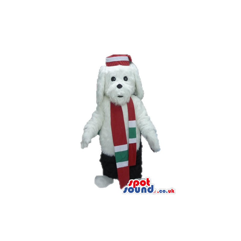 White dog wearing a red, green and white scarf, black trousers