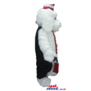 White dog wearing a red, green and white scarf, black trousers